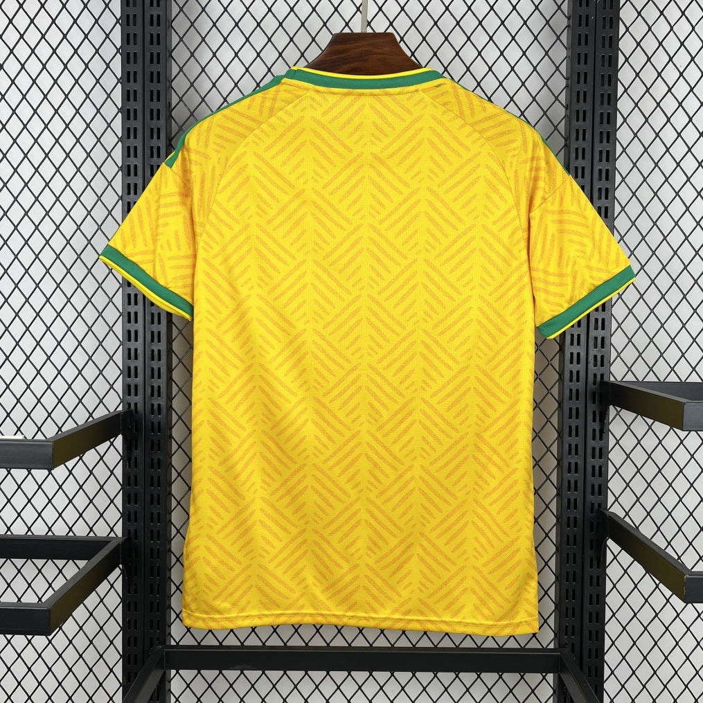 Maillot Afrique du Sud - 2026 Domicile