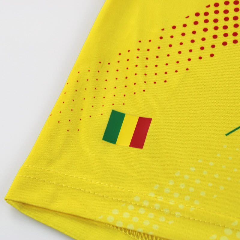 Maillot Mali Airness - 2013 Domicile
