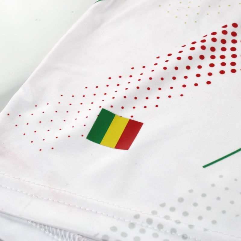 Maillot Mali Airness - 2013 Extérieur