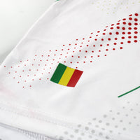 Maillot Mali Airness - 2013 Extérieur