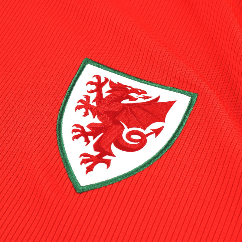 Maillot Pays de Galles - 2020-21 Domicile