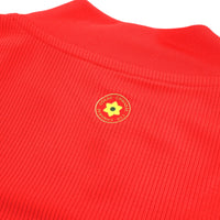 Maillot Pays de Galles - 2020-21 Domicile