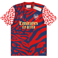 Maillot Arsenal x - 2021-22 Pre-Match