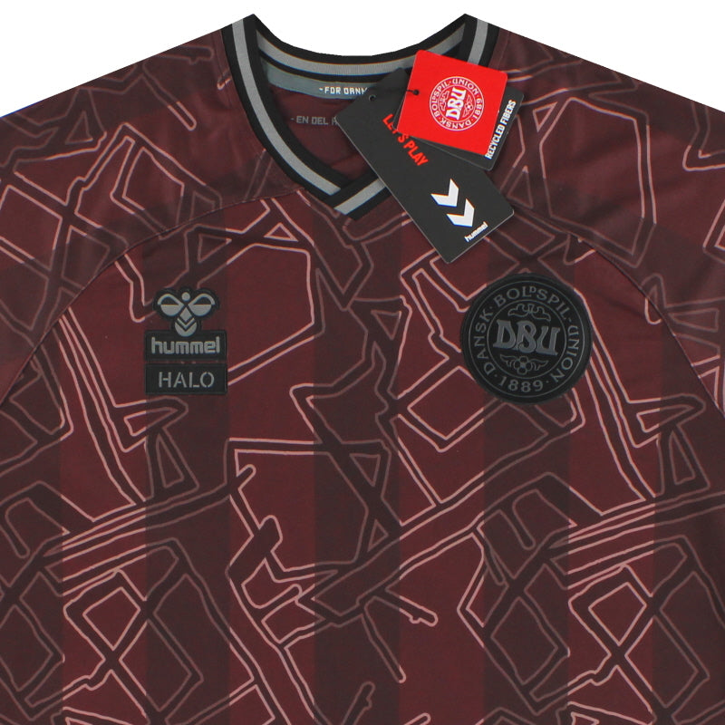 Maillot Danemark 2024