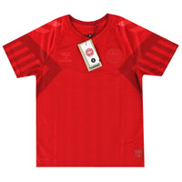 Maillot Danemark - 2022 Domicile