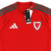 Maillot Pays de Galles - 2024-25 Domicile