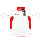 Maillot Pays de Galles - 2008-10 Extérieur