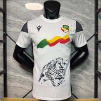 Maillot 25/26 Benin white  player