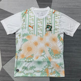 Maillot Cote d'lvoire - 2026 Extérieur