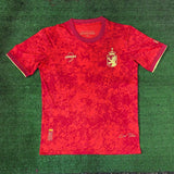 Maillot Espagne - 24/25 Spécial
