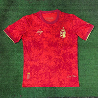 Maillot Espagne - 24/25 Spécial