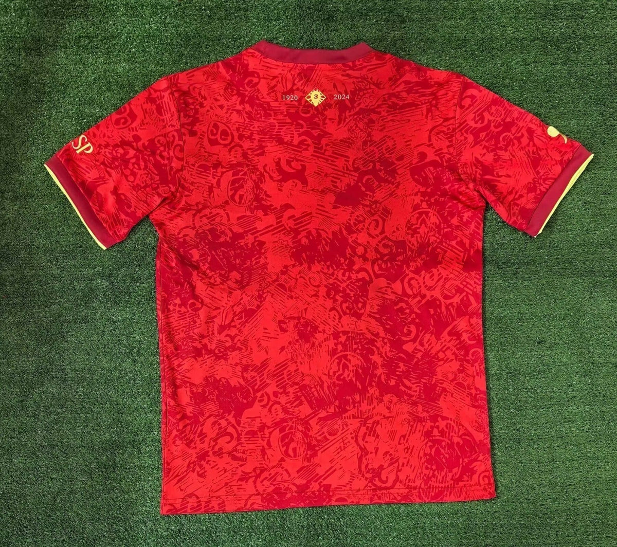 Maillot Espagne - 24/25 Spécial