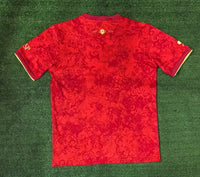 Maillot Espagne - 24/25 Spécial
