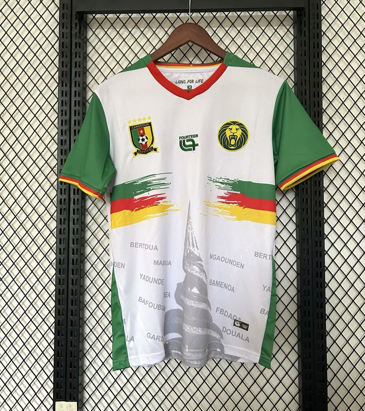 Maillot Cameroun - 25/26 Spécial