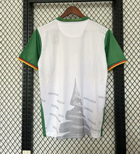 Maillot Cameroun - 25/26 Spécial