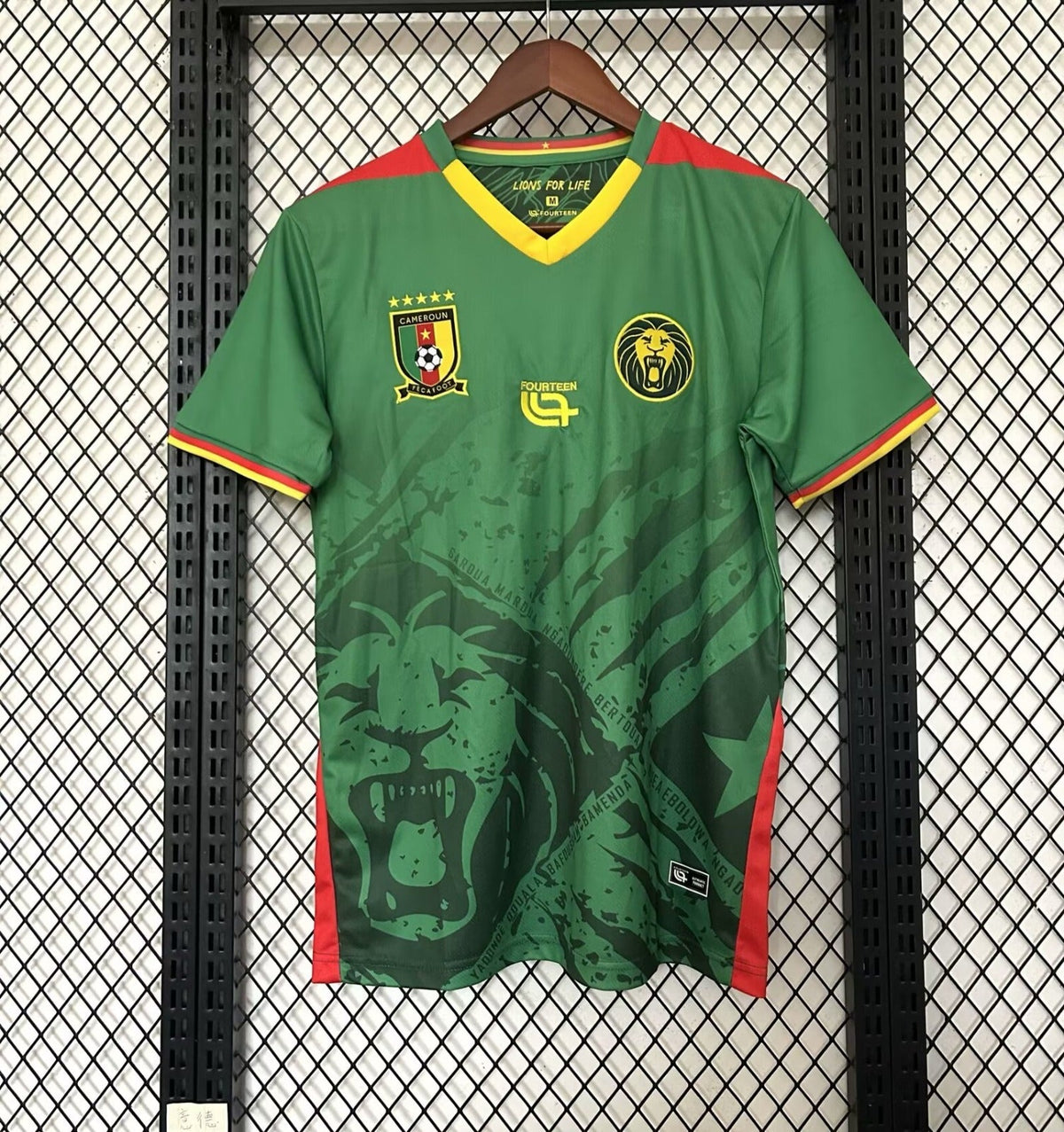 Maillot Cameroun - 25/26 Spécial