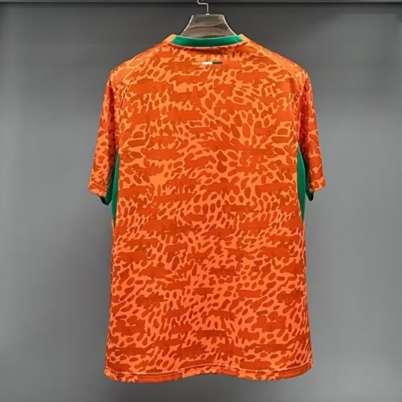 Maillot Côte d'Ivoire - 25/26 Spécial