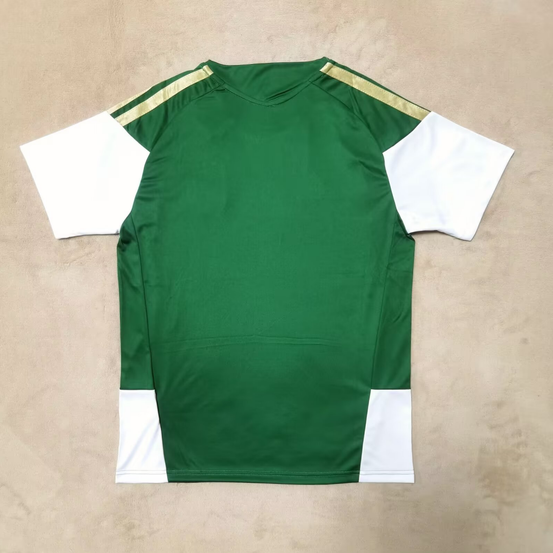 Maillot Italie green - 25/26 Spécial