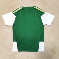 Maillot Italie green - 25/26 Spécial