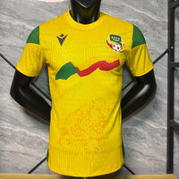 Maillot 25/26 Benin yellow  player
